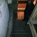 Встановлення драбини в підвальне приміщення